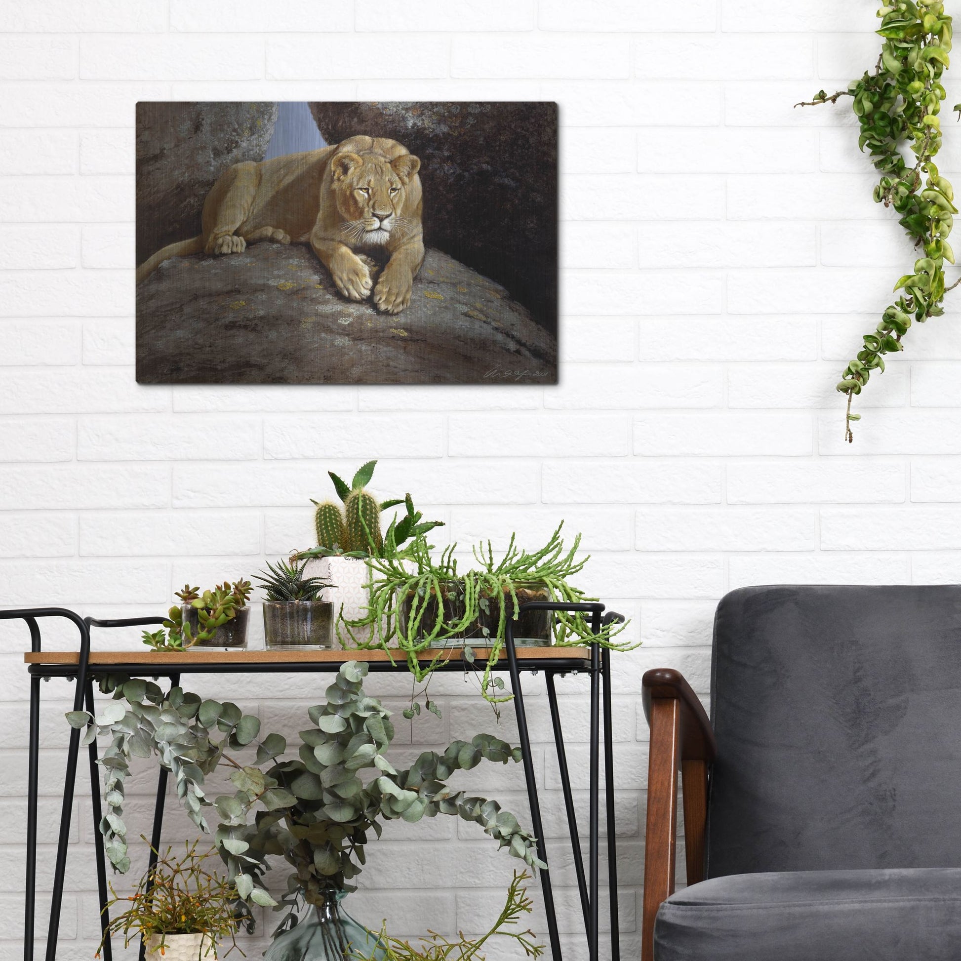 Luxe Metal Art 'Lioness' by Harro Maass, Metal Wall Art,16x12