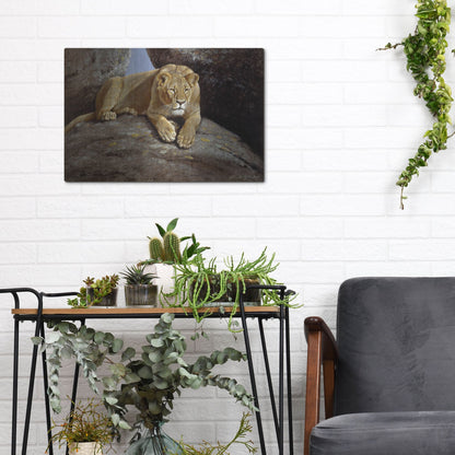Luxe Metal Art 'Lioness' by Harro Maass, Metal Wall Art,16x12