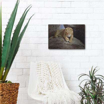 Luxe Metal Art 'Lioness' by Harro Maass, Metal Wall Art,16x12
