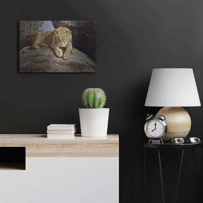 Luxe Metal Art 'Lioness' by Harro Maass, Metal Wall Art,24x16