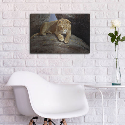 Luxe Metal Art 'Lioness' by Harro Maass, Metal Wall Art,24x16