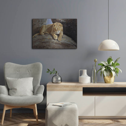 Luxe Metal Art 'Lioness' by Harro Maass, Metal Wall Art,24x16