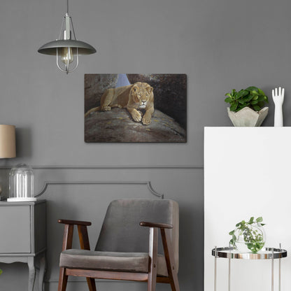 Luxe Metal Art 'Lioness' by Harro Maass, Metal Wall Art,24x16