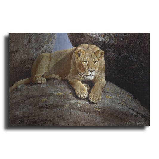 Luxe Metal Art 'Lioness' by Harro Maass, Metal Wall Art