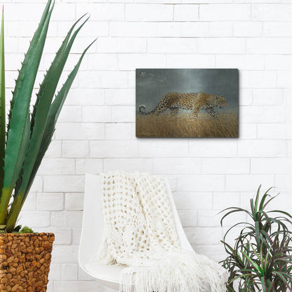 Luxe Metal Art 'Leopard 2' by Harro Maass, Metal Wall Art,16x12
