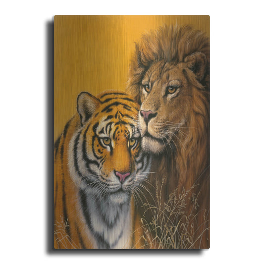 Luxe Metal Art 'Lion & Tiger' by Harro Maass, Metal Wall Art