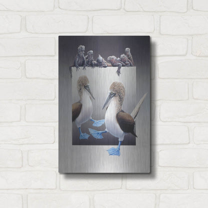 Luxe Metal Art 'Bluefooted Boobies And Marine Iguanas' by Harro Maass, Metal Wall Art,12x16
