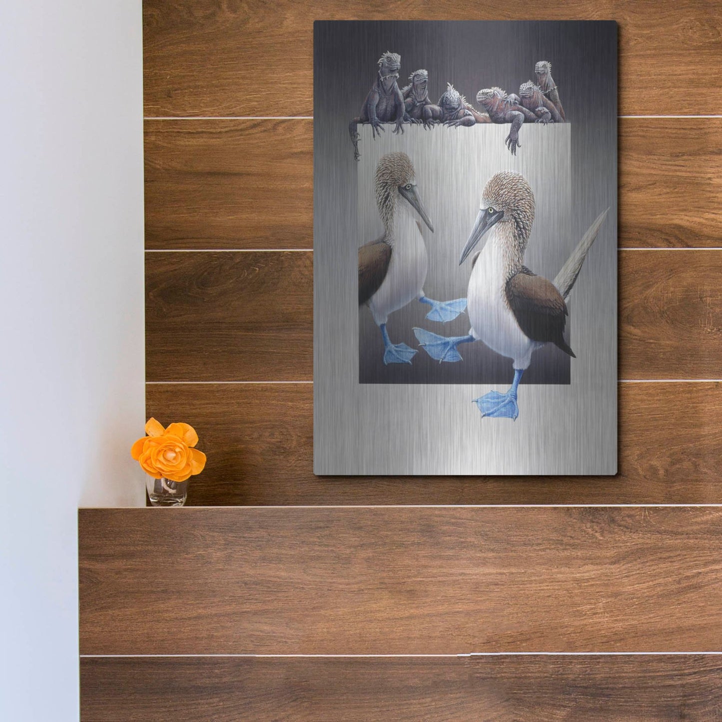 Luxe Metal Art 'Bluefooted Boobies And Marine Iguanas' by Harro Maass, Metal Wall Art,12x16