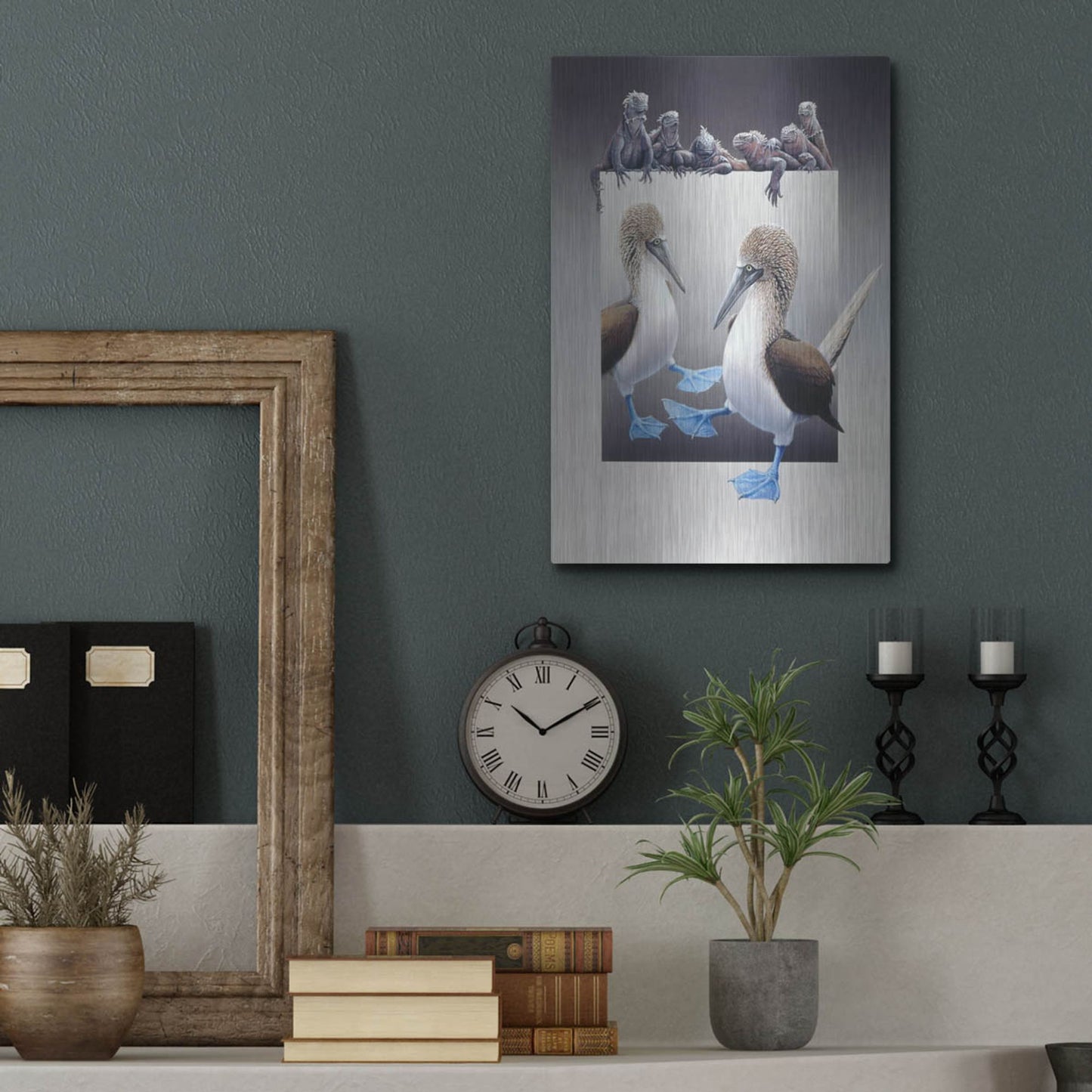 Luxe Metal Art 'Bluefooted Boobies And Marine Iguanas' by Harro Maass, Metal Wall Art,12x16