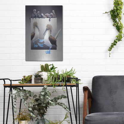 Luxe Metal Art 'Bluefooted Boobies And Marine Iguanas' by Harro Maass, Metal Wall Art,12x16