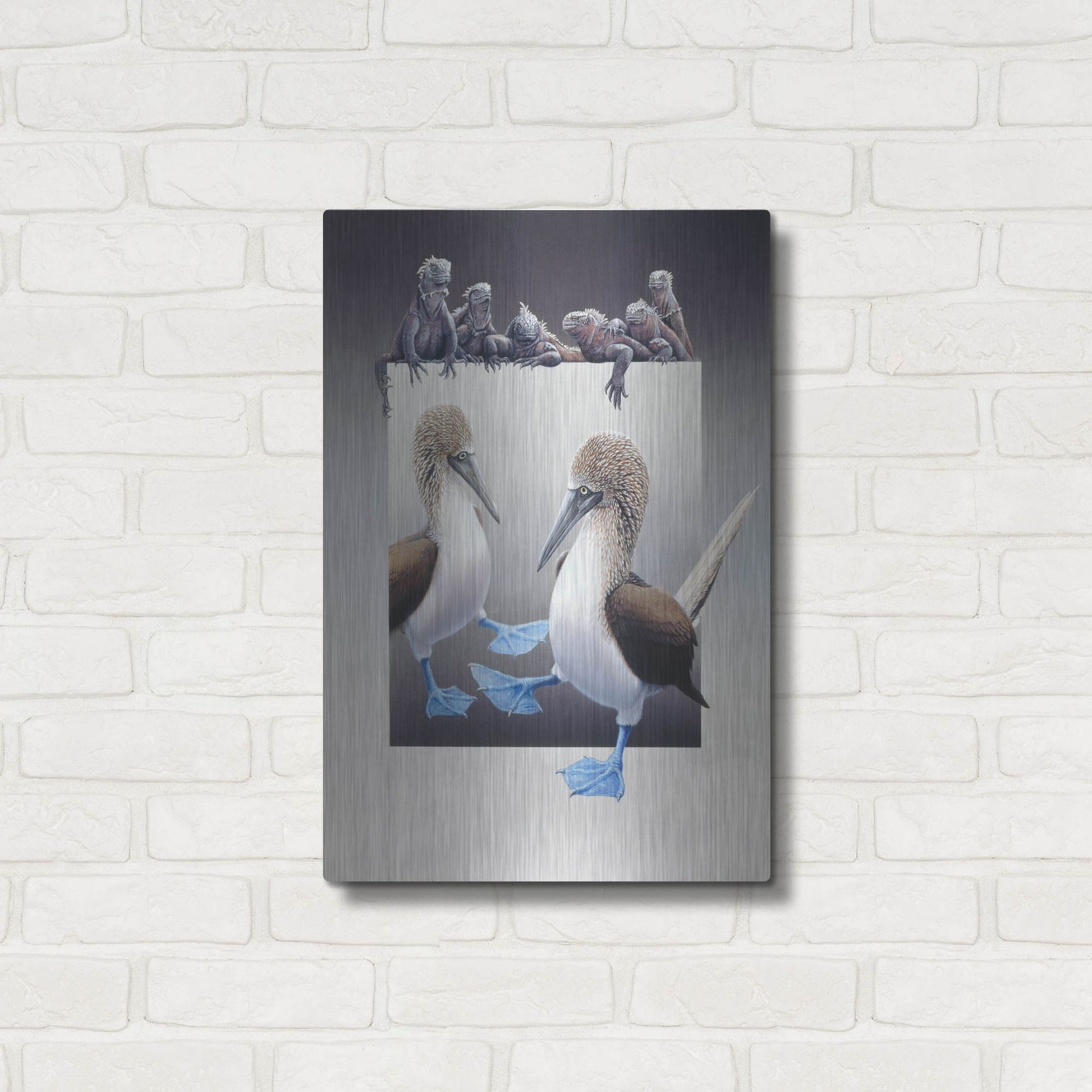 Luxe Metal Art 'Bluefooted Boobies And Marine Iguanas' by Harro Maass, Metal Wall Art,16x24