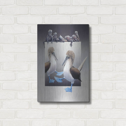 Luxe Metal Art 'Bluefooted Boobies And Marine Iguanas' by Harro Maass, Metal Wall Art,16x24