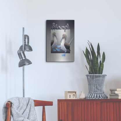 Luxe Metal Art 'Bluefooted Boobies And Marine Iguanas' by Harro Maass, Metal Wall Art,16x24