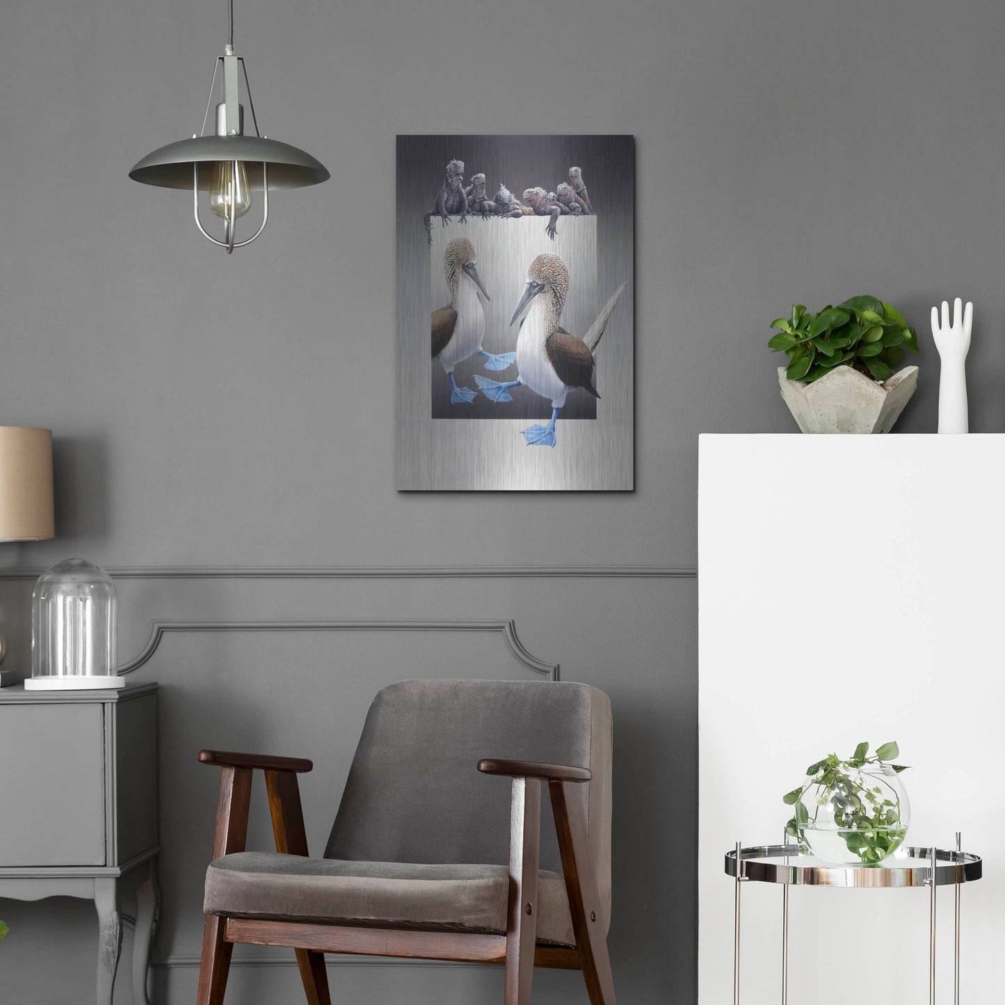 Luxe Metal Art 'Bluefooted Boobies And Marine Iguanas' by Harro Maass, Metal Wall Art,16x24