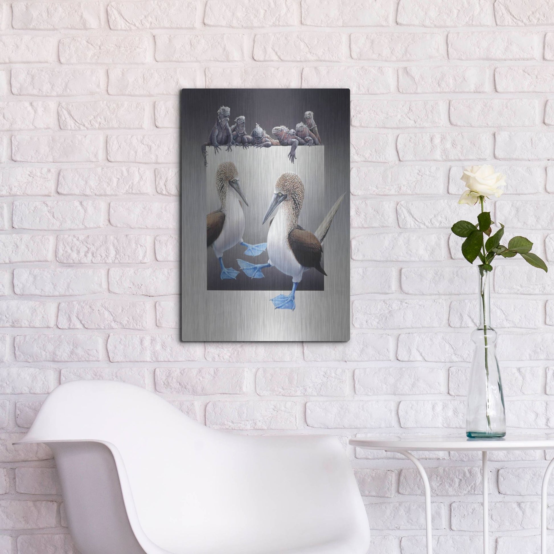 Luxe Metal Art 'Bluefooted Boobies And Marine Iguanas' by Harro Maass, Metal Wall Art,16x24
