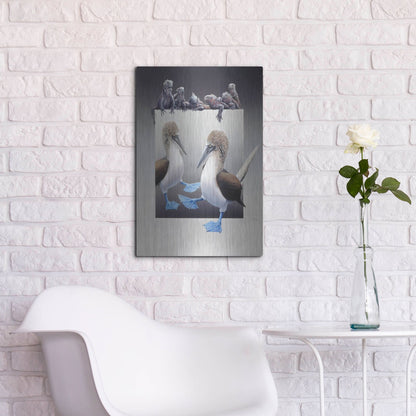 Luxe Metal Art 'Bluefooted Boobies And Marine Iguanas' by Harro Maass, Metal Wall Art,16x24