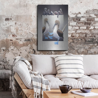Luxe Metal Art 'Bluefooted Boobies And Marine Iguanas' by Harro Maass, Metal Wall Art,24x36