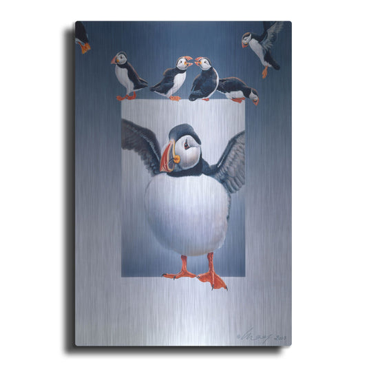 Luxe Metal Art 'Puffins' by Harro Maass, Metal Wall Art