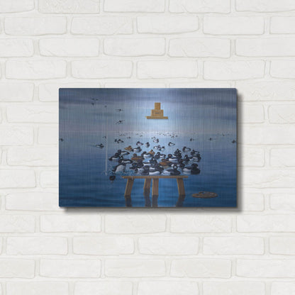 Luxe Metal Art 'Tufted Ducks' by Harro Maass, Metal Wall Art,24x16