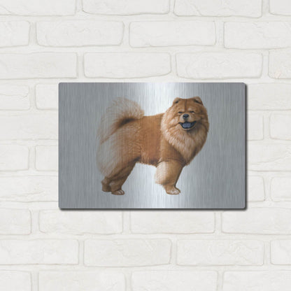 Luxe Metal Art 'Chow Chow' by Harro Maass, Metal Wall Art,16x12