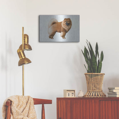 Luxe Metal Art 'Chow Chow' by Harro Maass, Metal Wall Art,24x16
