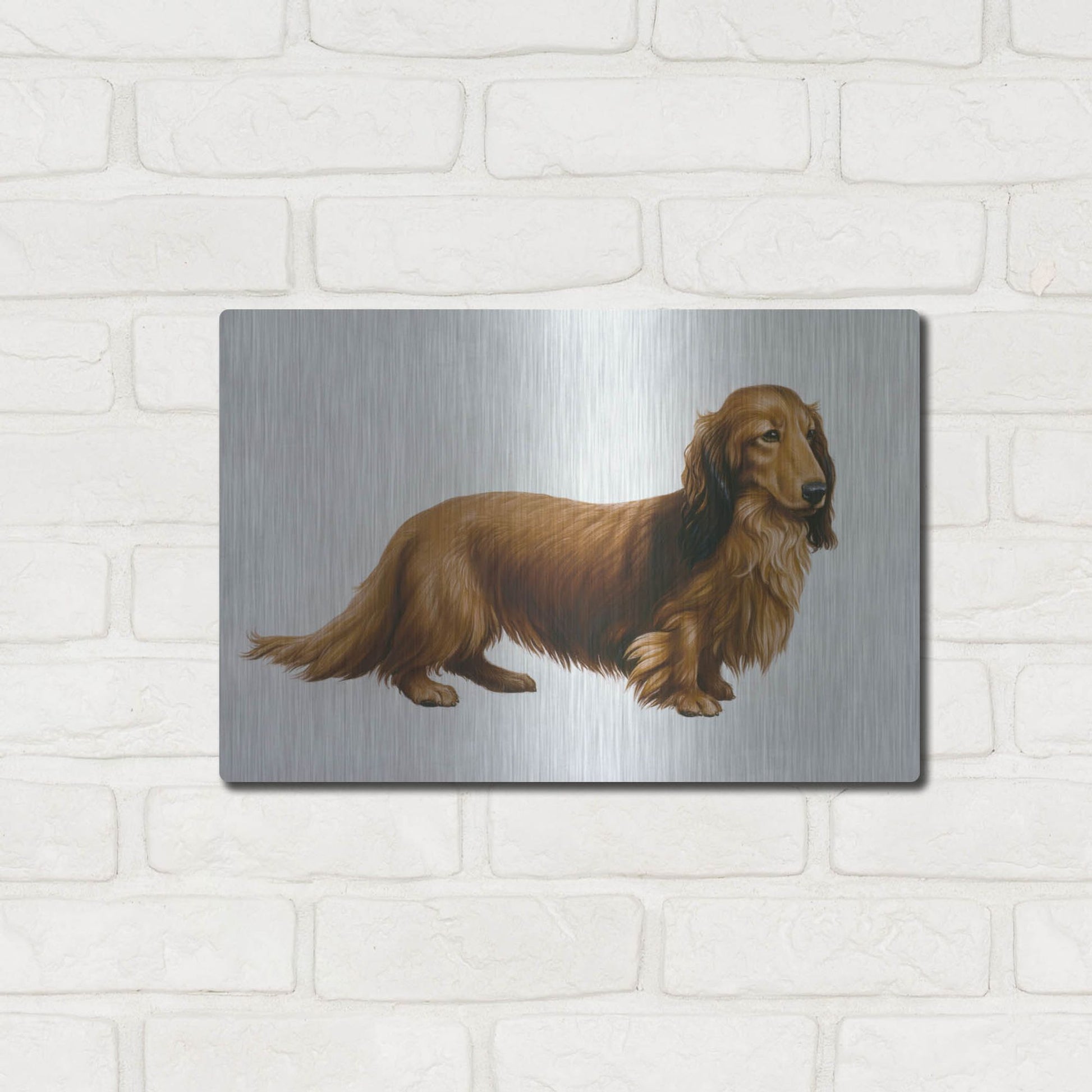 Luxe Metal Art 'Dachsund' by Harro Maass, Metal Wall Art,16x12