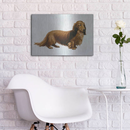 Luxe Metal Art 'Dachsund' by Harro Maass, Metal Wall Art,24x16