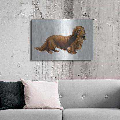 Luxe Metal Art 'Dachsund' by Harro Maass, Metal Wall Art,36x24