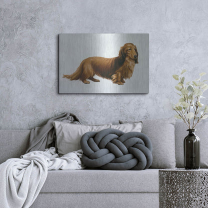 Luxe Metal Art 'Dachsund' by Harro Maass, Metal Wall Art,36x24