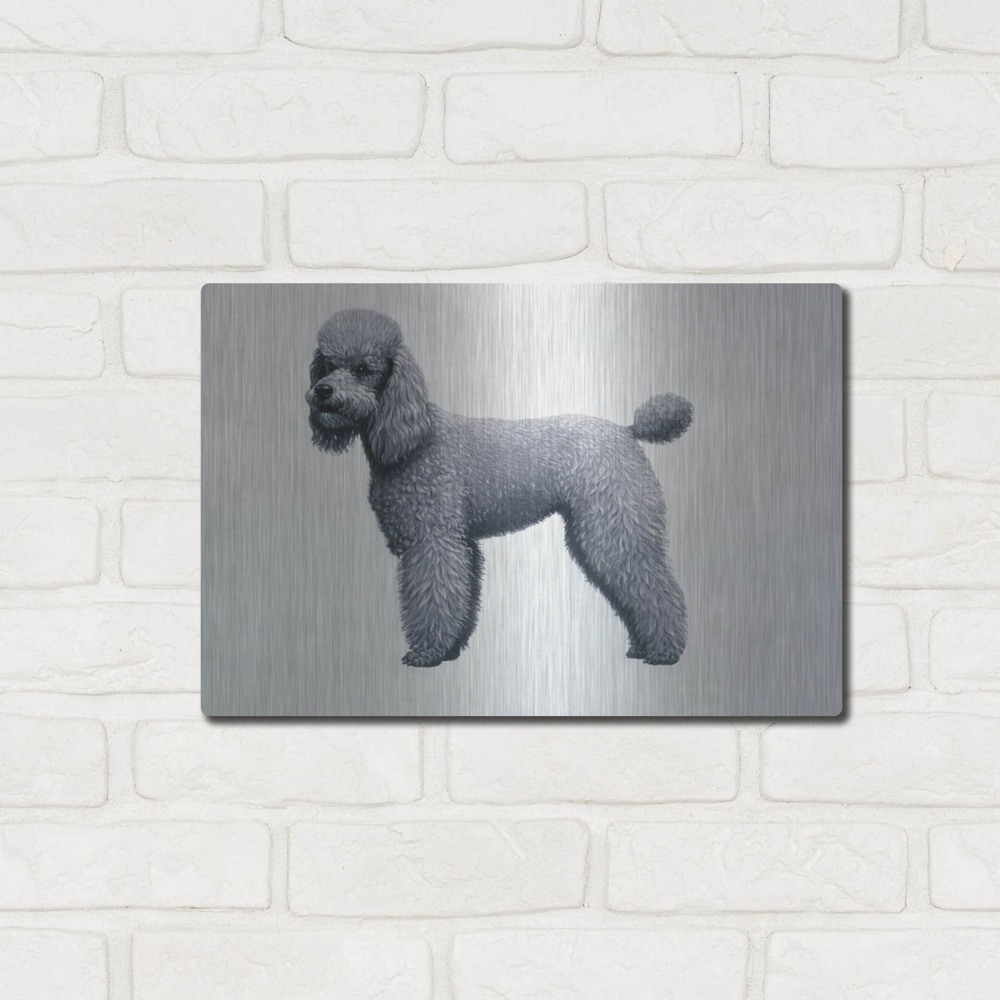 Luxe Metal Art 'Poodle' by Harro Maass, Metal Wall Art,16x12