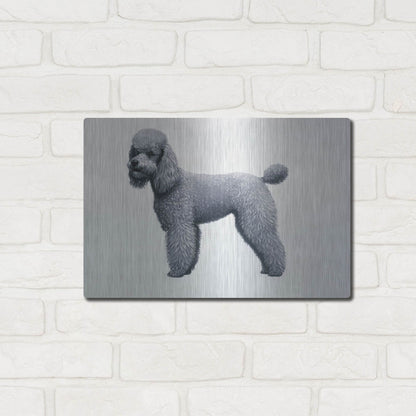 Luxe Metal Art 'Poodle' by Harro Maass, Metal Wall Art,16x12