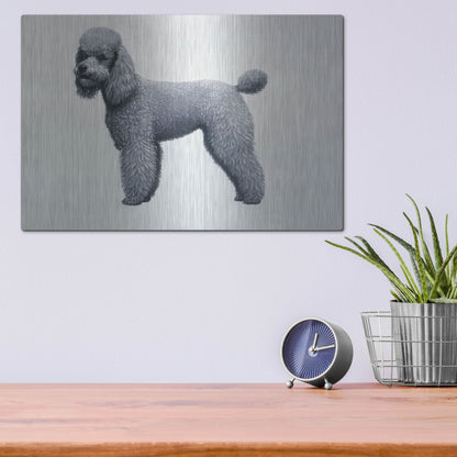 Luxe Metal Art 'Poodle' by Harro Maass, Metal Wall Art,16x12