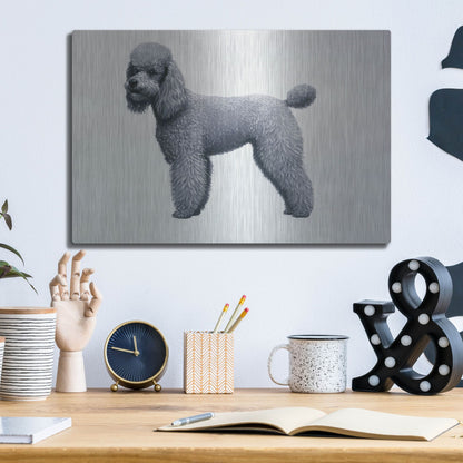 Luxe Metal Art 'Poodle' by Harro Maass, Metal Wall Art,16x12