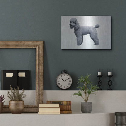 Luxe Metal Art 'Poodle' by Harro Maass, Metal Wall Art,16x12