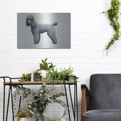 Luxe Metal Art 'Poodle' by Harro Maass, Metal Wall Art,16x12