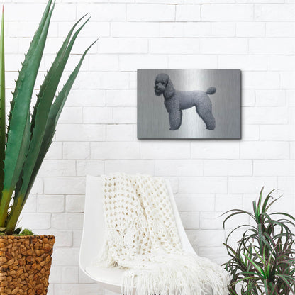 Luxe Metal Art 'Poodle' by Harro Maass, Metal Wall Art,16x12