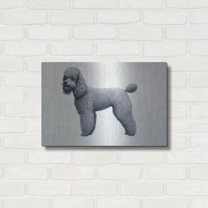Luxe Metal Art 'Poodle' by Harro Maass, Metal Wall Art,24x16
