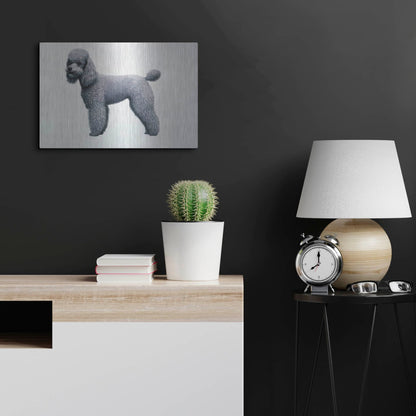 Luxe Metal Art 'Poodle' by Harro Maass, Metal Wall Art,24x16