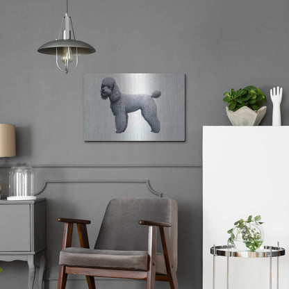 Luxe Metal Art 'Poodle' by Harro Maass, Metal Wall Art,24x16