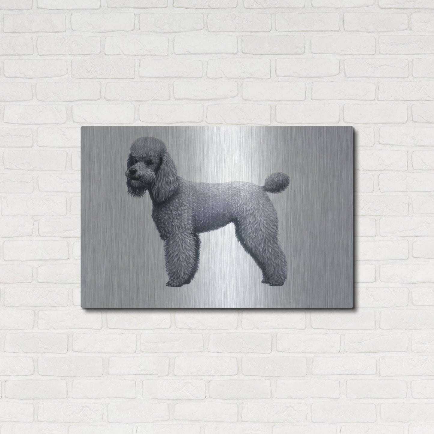 Luxe Metal Art 'Poodle' by Harro Maass, Metal Wall Art,36x24