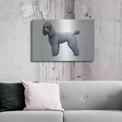 Luxe Metal Art 'Poodle' by Harro Maass, Metal Wall Art,36x24