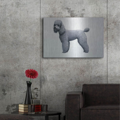 Luxe Metal Art 'Poodle' by Harro Maass, Metal Wall Art,36x24