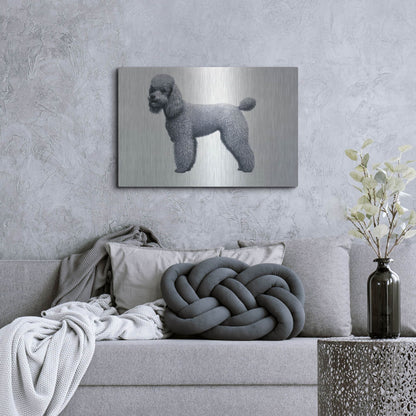 Luxe Metal Art 'Poodle' by Harro Maass, Metal Wall Art,36x24