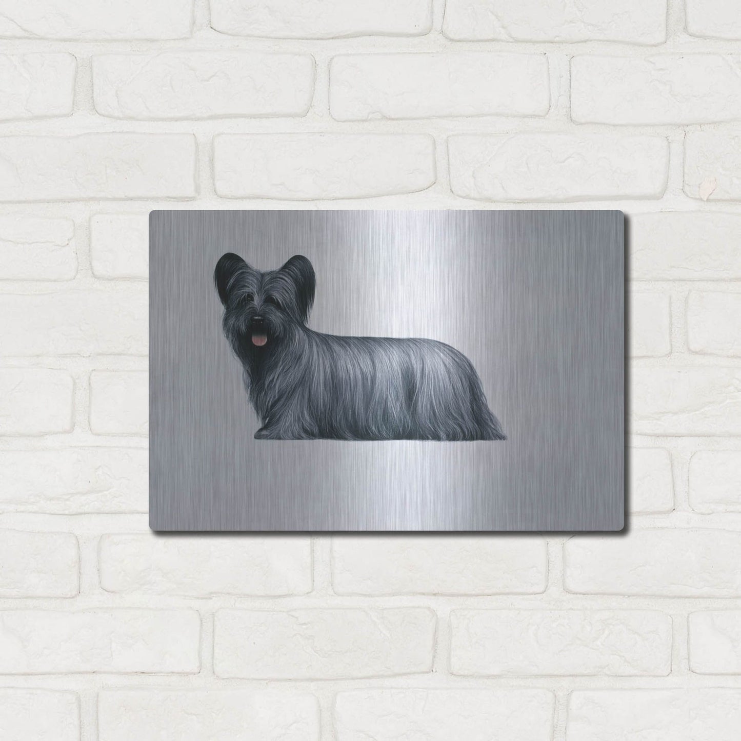 Luxe Metal Art 'Sky Terrier' by Harro Maass, Metal Wall Art,16x12