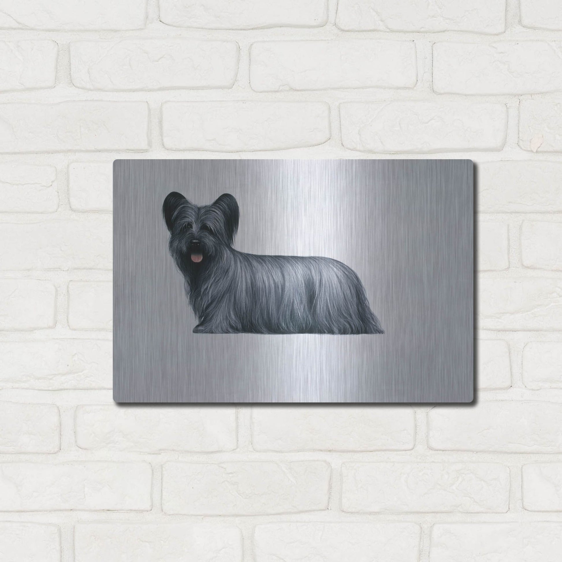 Luxe Metal Art 'Sky Terrier' by Harro Maass, Metal Wall Art,16x12