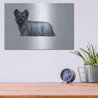 Luxe Metal Art 'Sky Terrier' by Harro Maass, Metal Wall Art,16x12