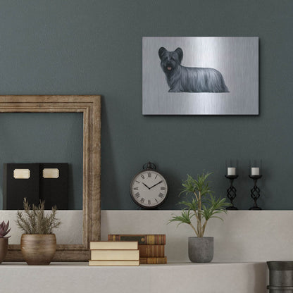 Luxe Metal Art 'Sky Terrier' by Harro Maass, Metal Wall Art,16x12