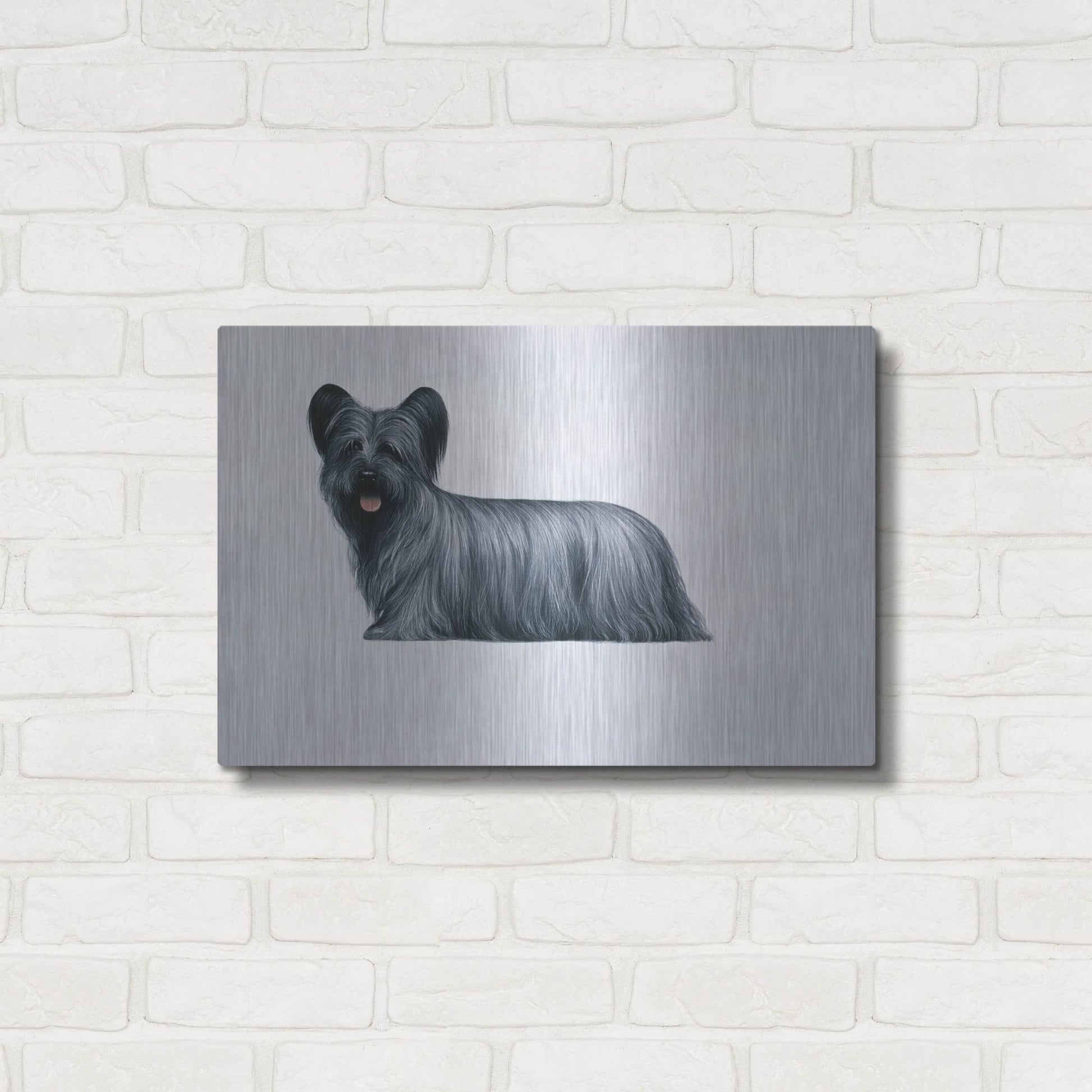 Luxe Metal Art 'Sky Terrier' by Harro Maass, Metal Wall Art,24x16