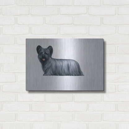 Luxe Metal Art 'Sky Terrier' by Harro Maass, Metal Wall Art,24x16