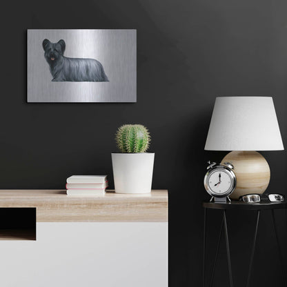 Luxe Metal Art 'Sky Terrier' by Harro Maass, Metal Wall Art,24x16